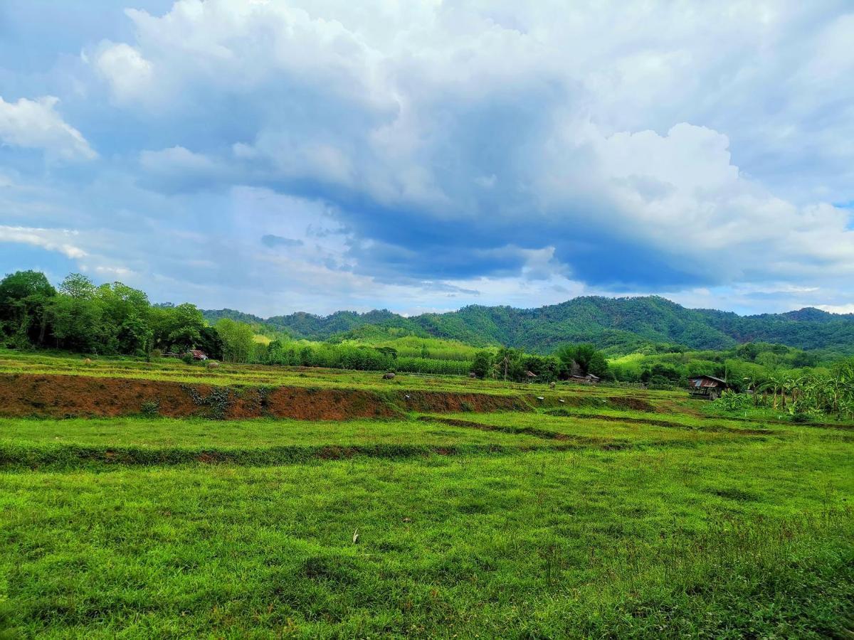 Mint Organic Farm Stay, Wangchin,Phrae Ban Mae Katom Экстерьер фото